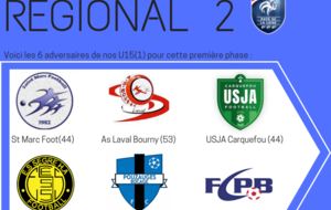 U15 : Aprés les séniors et U17, voici le groupe de notre 3eme équipe au niveau regional :