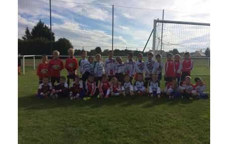 Paroles de coach n°12