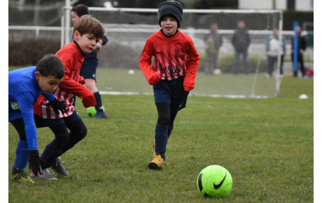 Une nouvelle mise à jour de notre album photos 